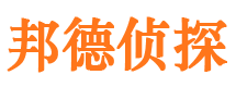 桃山侦探调查公司